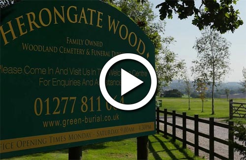 Take a video tour of Herongate Wood